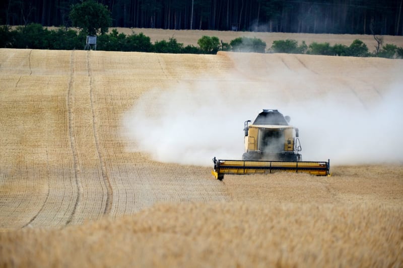 US and China Intensify Negotiations to Roll Back Tariffs on Critical Agricultural Products