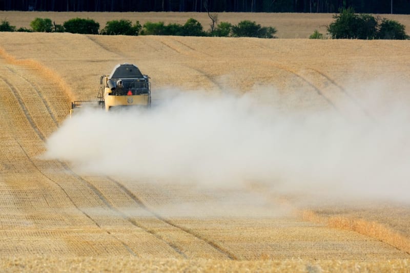 US and China Intensify Negotiations to Roll Back Tariffs on Critical Agricultural Products