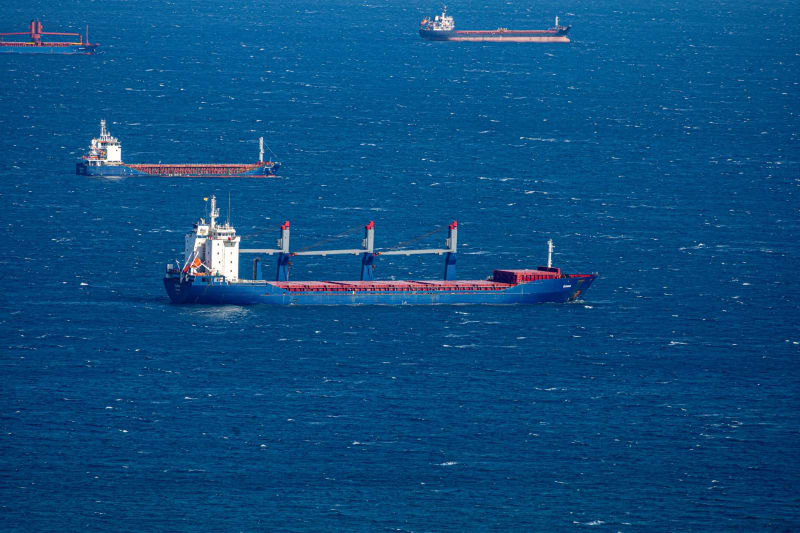 Global Shipping Costs Skyrocket: Businesses Brace for Impact of Impending Trump Tariffs