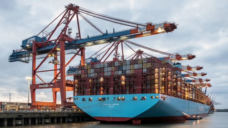 Global Shipping Costs Skyrocket: Businesses Brace for Impact of Impending Trump Tariffs