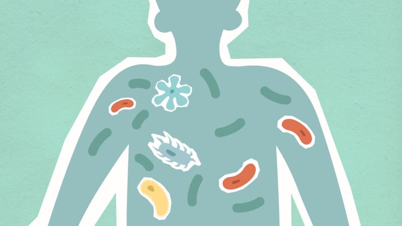 Revolutionary Drug Candidate Targets Gut Health to Combat Severe Fatty Liver Disease