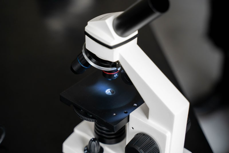 Revolutionary Nanoparticle Therapy Obliterates Aggressive Prostate Tumors in Groundbreaking Mouse Study