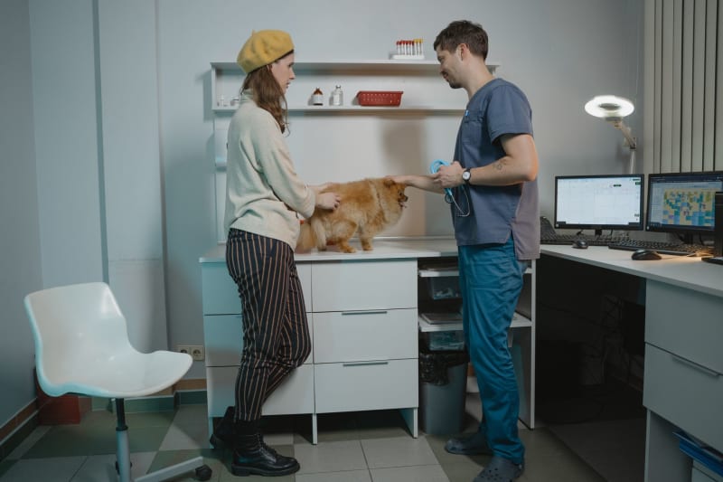 Pet Care Powerhouse: Bond Vet and Small Door Veterinary Forge a New Era in Animal Health
