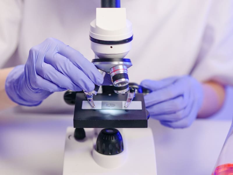 Unmasking the Achilles' Heel: Scientists Pinpoint Essential Nutrient for Beneficial Parasite Survival