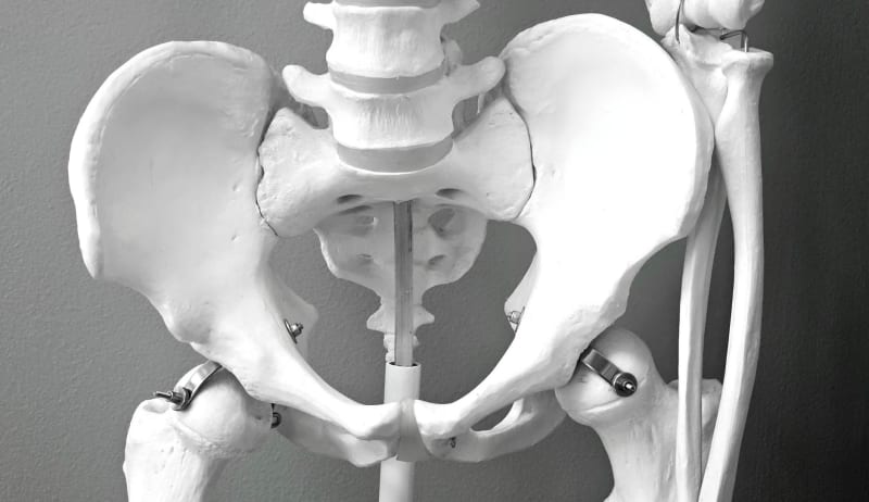 Unlocking the Skeleton's Secrets: New Genomic Map Pinpoints Hundreds of Bone Health Genes