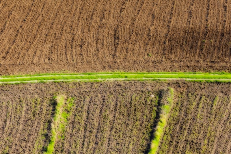 Trump Unleashes Emergency Powers: Fertilizer Tariffs Halted to Avert Looming Food Crisis