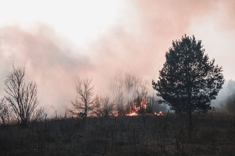 Unprecedented Air Quality Crisis Grips 20 US States as Canadian Wildfire Smoke Chokes Skies