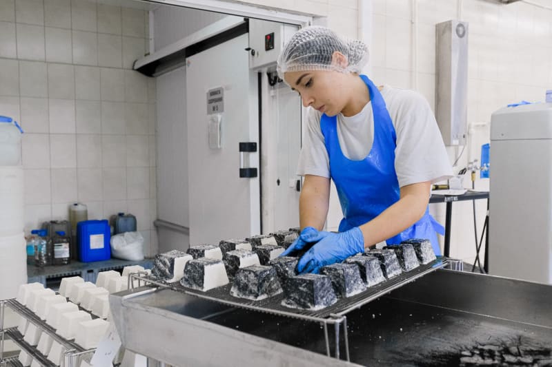 Cold Chain Crisis as Ransomware Strike Paralyzes Japanese Frozen Food Giant Nichirei