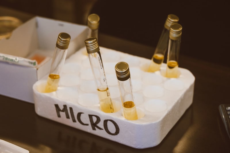 Breakthrough in Fertility: Scientists Engineer Functional Precursors to Sperm in Lab-Grown Testes