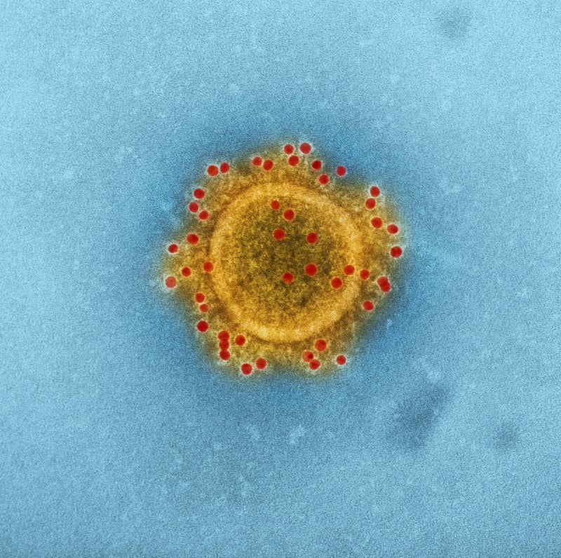 Urgent Alert: Taiwan Confirms Three New Japanese Encephalitis Cases Amidst Peak Season Concerns
