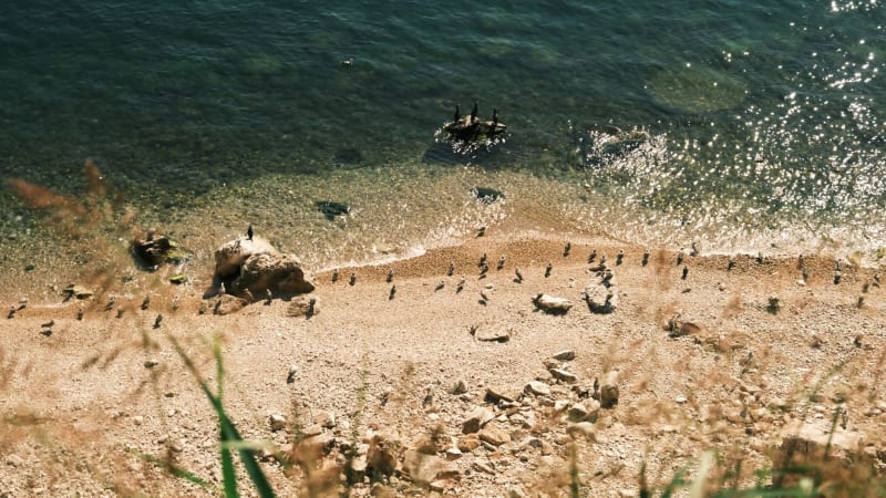 California Braces for Summer Surge as 'Cicada' Subvariant Drives New COVID Wave