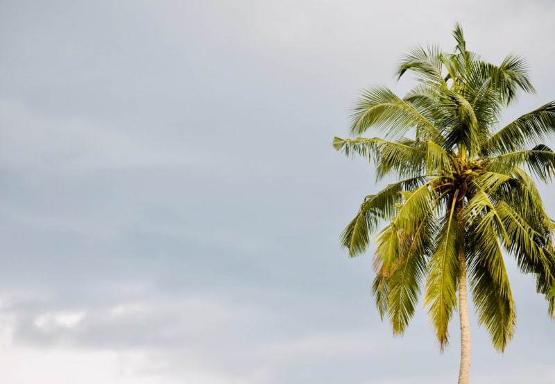 Gulf Coast Braces for Impact as Tropical Storm Bertha Intensifies Rapidly Offshore