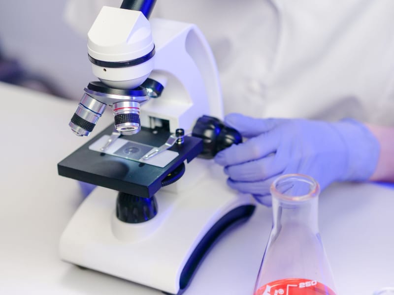 AI's Precision Strike: Johns Hopkins Surgeon Unveils Breakthrough in Early Pancreatic Cancer Detection