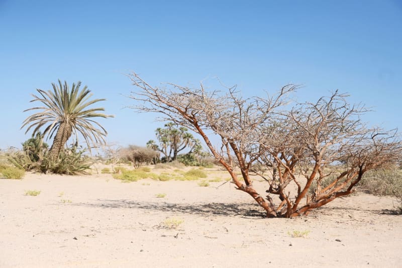 Escalating Regional Tensions Push Iran's Stagnant Economy to the Brink of Catastrophe