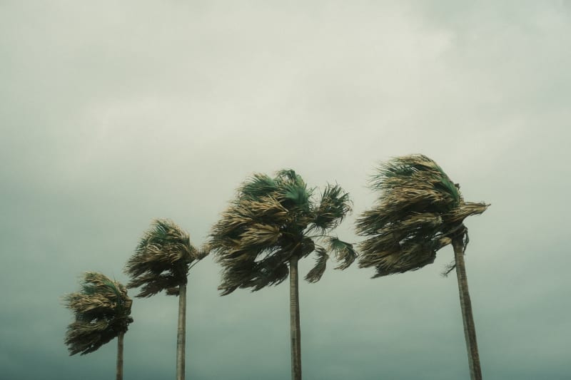 Gulf Coast Braces for Impact as Tropical Storm Bertha Unleashes Torrential Rains and Dangerous Surges