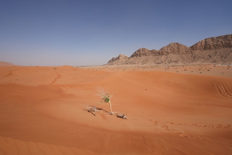 Escalating Middle East Tensions Threaten Global Oil Supply and Economic Stability