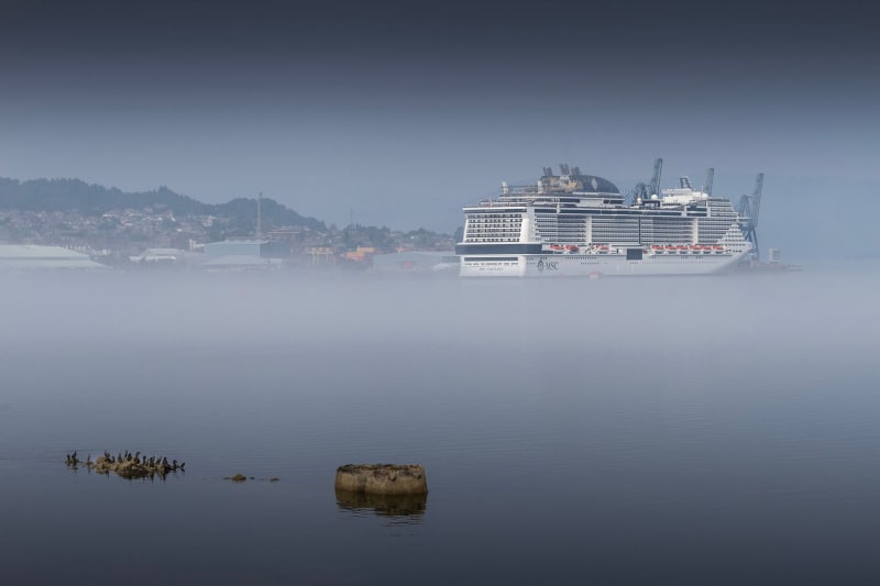 Hantavirus Scare: Cruise Ship Outbreak Triggers Urgent California Health Warnings