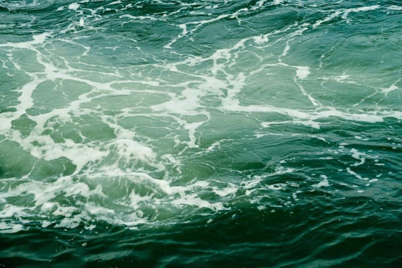 Hantavirus Scare: Cruise Ship Outbreak Triggers Urgent California Health Warnings