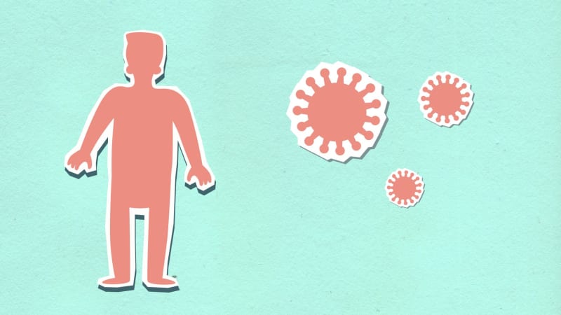 Immunosuppression Offers Fleeting Reversal of Autism-Like Brain Changes in Adult Mice, Opening New Research Avenues