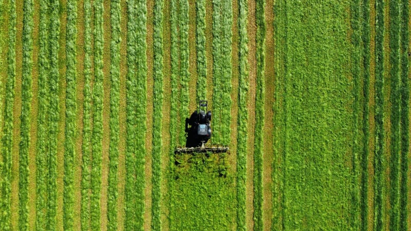 Escalating Tensions: How Trump's Iran Stance Fueled a $1.4 Billion Diesel Surge for American Farmers