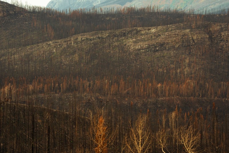 Europe Engulfed: Unprecedented Wildfires Ravage Continent, Threatening Lives and Livelihoods