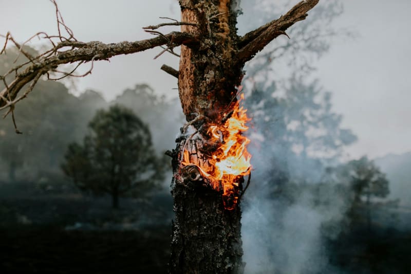 Europe Engulfed: Unprecedented Wildfires Ravage Continent, Threatening Lives and Livelihoods