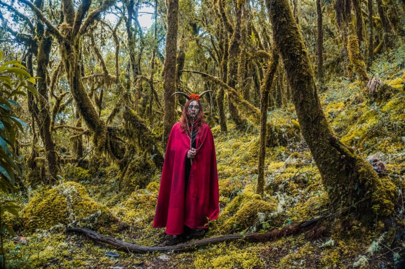 D&D Sequel's Fate Hangs by a Thread: Financial Hurdles Threaten to Dungeon-Crawl Fan Hopes