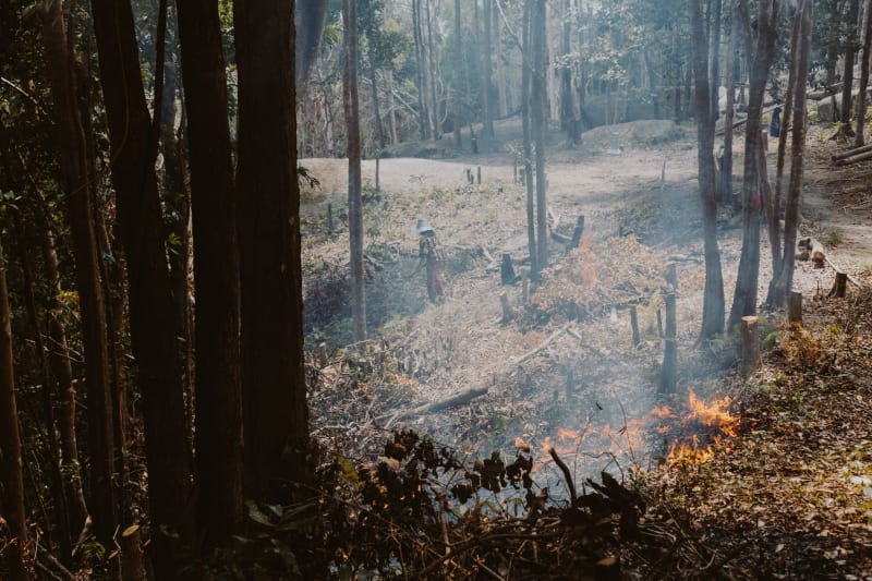Europe's Blazing Inferno: Unprecedented Wildfires Ravage France and Spain, Threatening Lives and Landscapes