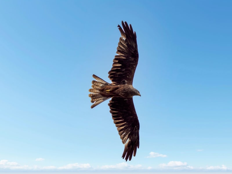 Impending Market Vortex: How Soaring Oil Prices and AI Spending Could Trigger a Global Downturn