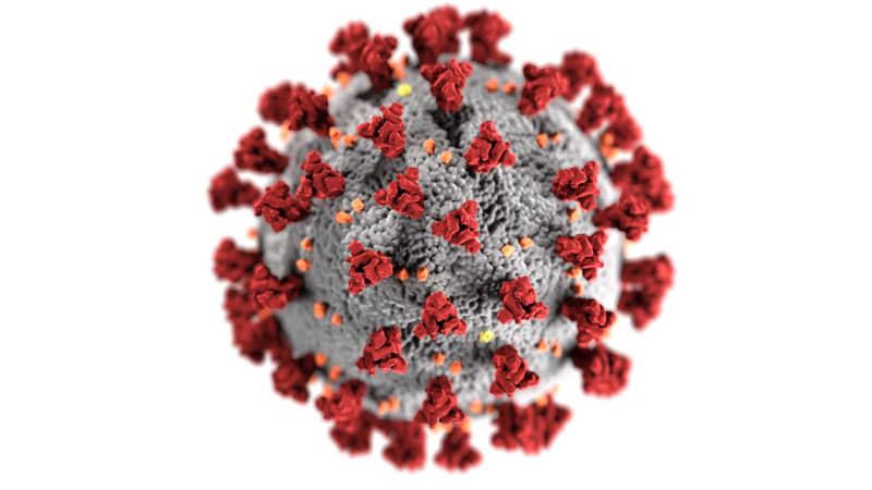 Urgent Alert: Bundibugyo Ebola Strain Emerges in DRC, Threatening Regional Stability