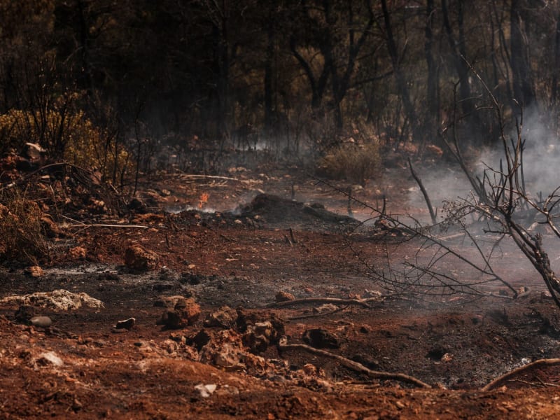Escalating Wildfire Crisis: Extreme Heat and Winds Fuel Devastation Across France and Spain