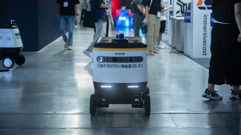 South Korea's Tech Titans Tumble: AI Hype Fades, Market Recalibrates Amidst Global Headwinds