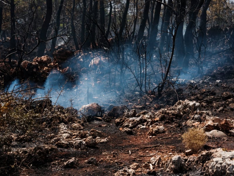 Urgent Air Quality Alert: Sonoma County Residents Advised to Take Immediate Precautions Against Wildfire Smoke