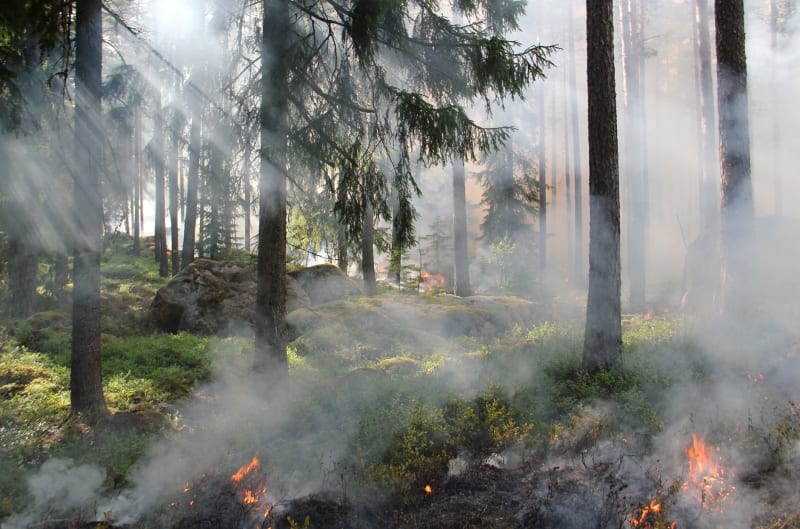 Urgent Air Quality Alert: Sonoma County Residents Advised to Take Immediate Precautions Against Wildfire Smoke