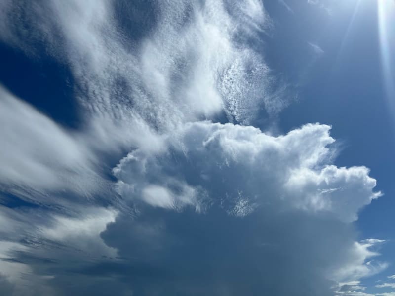 Microsoft's Meteoric Rise: Cloud Dominance and AI Bets Fuel Staggering $450 Billion Market Cap Surge