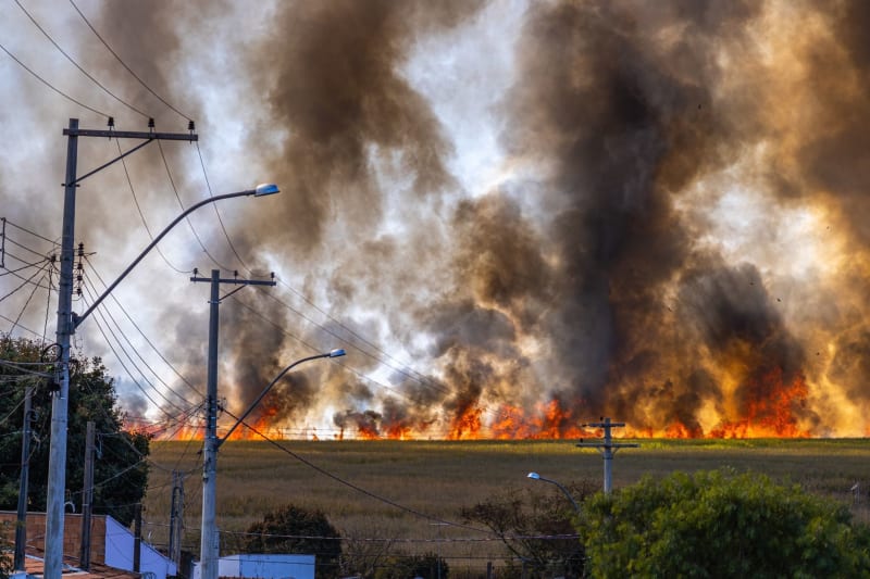 Climate Catastrophe Threatens Eurozone's Financial Bedrock, ECB Official Warns