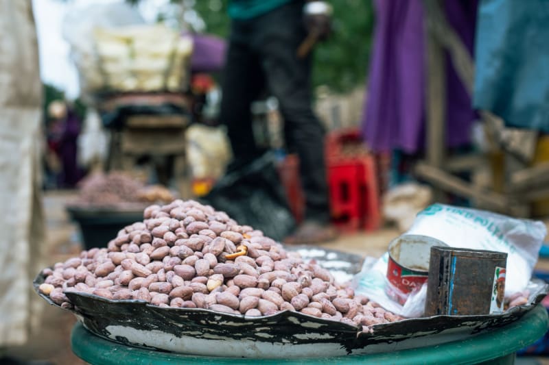 US Treasury Eases Sanctions: Critical Lifelines Open for DRC and Rwanda Amid Humanitarian Crisis