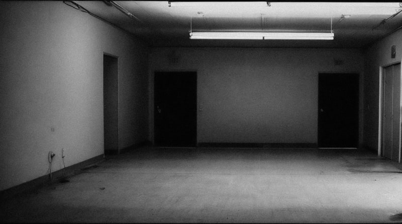 The Stagnation Epidemic: How Economic Immobility is Fueling a National Mental Health Crisis