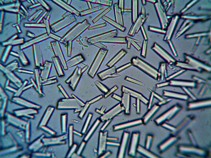 Urgent Health Alert: Legionella Outbreak Grips Basel-Stadt, Switzerland — What You Need to Know Now