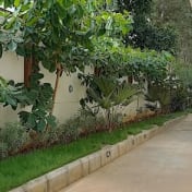 Vedant Vayun