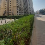 Sobha Royal Pavilion Wing 6