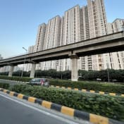 DLF The Camellias