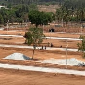 Taapasi Rosevista