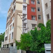 Abns Nest