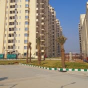 Orchard Avenue 2