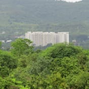 Mont Vert Vesta