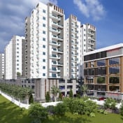 Goldenkey Meraki