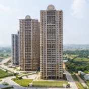 The Peaceful Homes