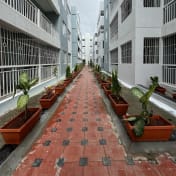 King George Avenue