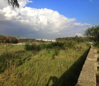 SHRIRAM CHIRPING WOODS — Photo via Google Maps